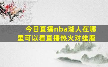 今日直播nba湖人在哪里可以看直播热火对雄鹿