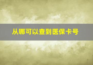 从哪可以查到医保卡号