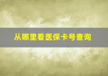 从哪里看医保卡号查询