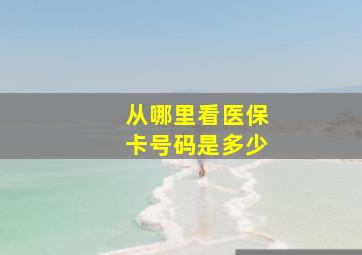 从哪里看医保卡号码是多少