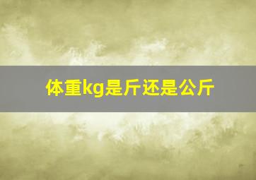 体重kg是斤还是公斤