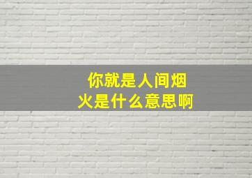 你就是人间烟火是什么意思啊