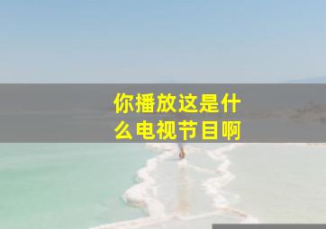 你播放这是什么电视节目啊