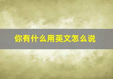 你有什么用英文怎么说