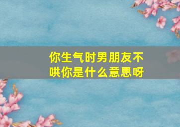 你生气时男朋友不哄你是什么意思呀