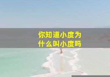 你知道小度为什么叫小度吗