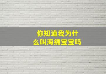 你知道我为什么叫海绵宝宝吗