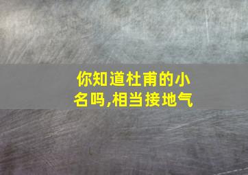 你知道杜甫的小名吗,相当接地气