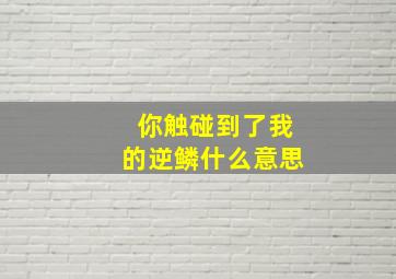 你触碰到了我的逆鳞什么意思