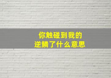 你触碰到我的逆鳞了什么意思