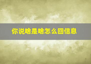 你说啥是啥怎么回信息