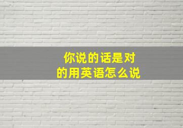 你说的话是对的用英语怎么说