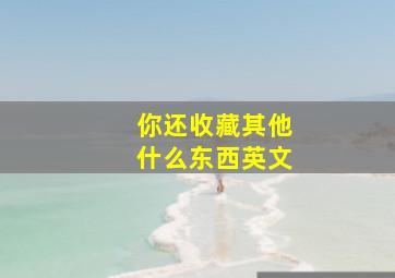 你还收藏其他什么东西英文