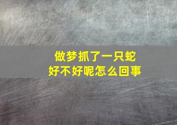 做梦抓了一只蛇好不好呢怎么回事