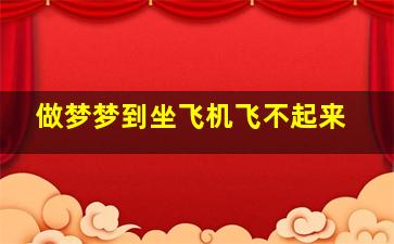 做梦梦到坐飞机飞不起来