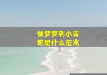 做梦梦到小青蛇是什么征兆