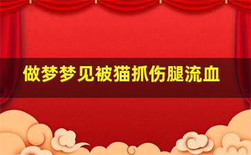 做梦梦见被猫抓伤腿流血