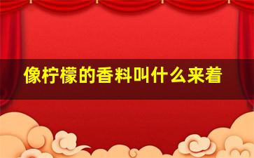 像柠檬的香料叫什么来着