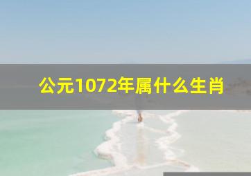 公元1072年属什么生肖