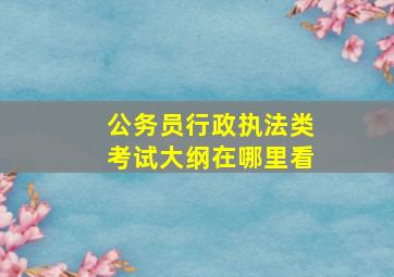 公务员行政执法类考试大纲在哪里看