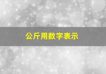 公斤用数字表示