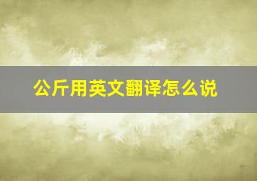 公斤用英文翻译怎么说