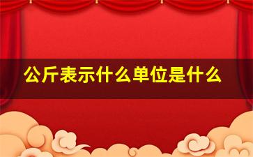 公斤表示什么单位是什么