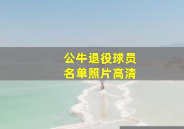 公牛退役球员名单照片高清