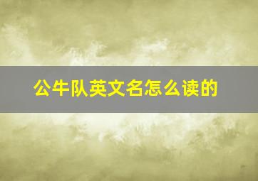 公牛队英文名怎么读的