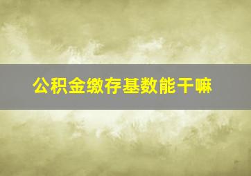 公积金缴存基数能干嘛