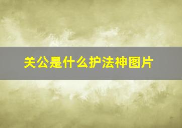 关公是什么护法神图片