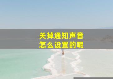 关掉通知声音怎么设置的呢