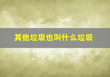 其他垃圾也叫什么垃圾