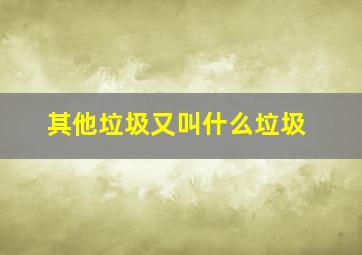 其他垃圾又叫什么垃圾