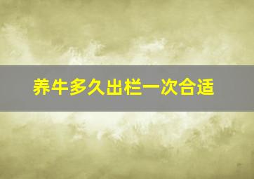 养牛多久出栏一次合适