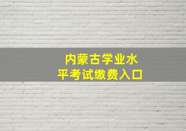 内蒙古学业水平考试缴费入口