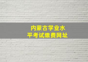 内蒙古学业水平考试缴费网址