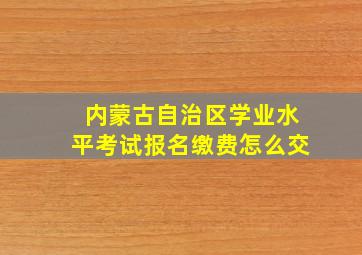 内蒙古自治区学业水平考试报名缴费怎么交