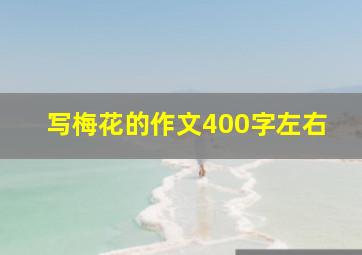 写梅花的作文400字左右