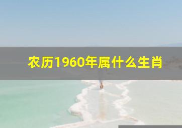 农历1960年属什么生肖