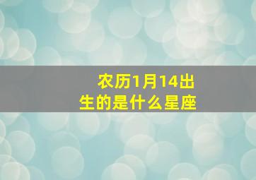 农历1月14出生的是什么星座