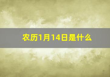 农历1月14日是什么