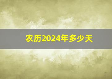 农历2024年多少天