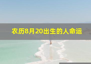 农历8月20出生的人命运