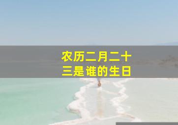 农历二月二十三是谁的生日