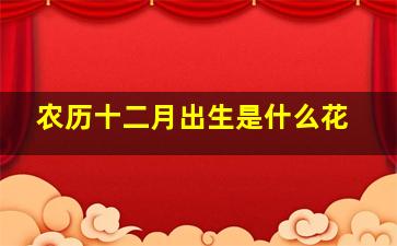 农历十二月出生是什么花