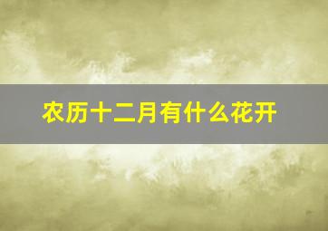 农历十二月有什么花开