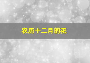 农历十二月的花