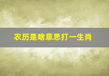 农历是啥意思打一生肖