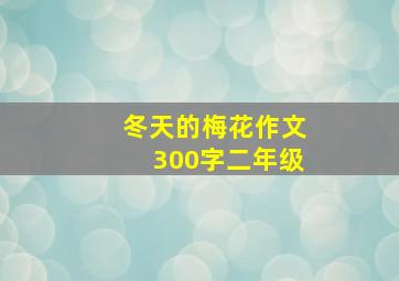 冬天的梅花作文300字二年级